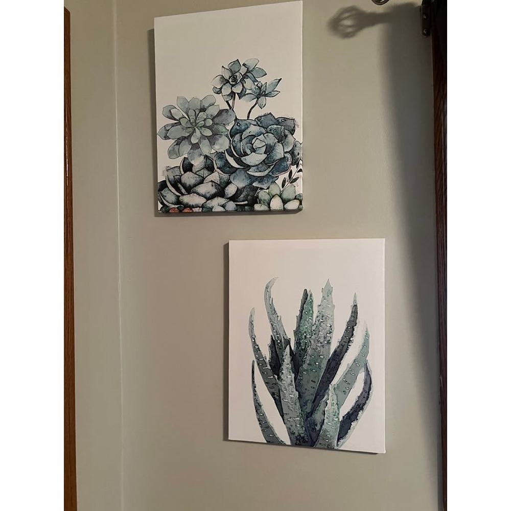 Succulent Canvas Pictures